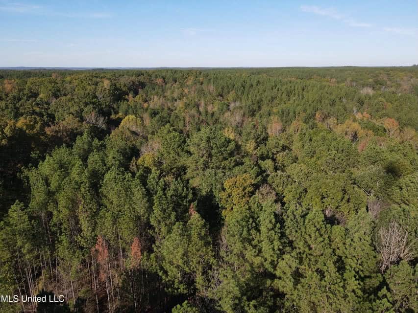 Carver Point Timber Tract in Grenada Co at Grenada Lake