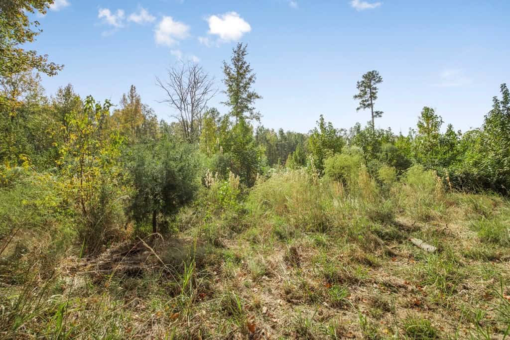 Legacy Property for Sale in Woodville, MS