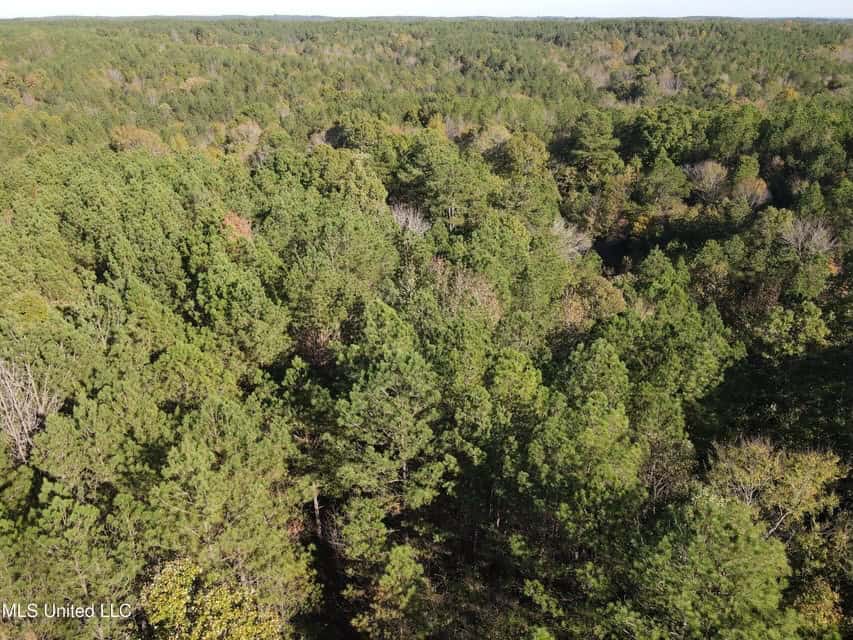 Carver Point Timber Tract in Grenada Co at Grenada Lake