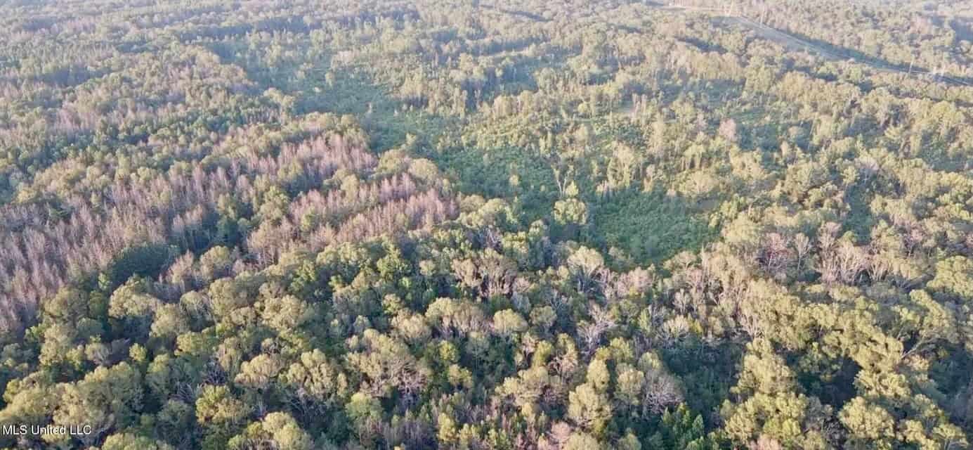100 Acres of Prime Development or Country Homesite