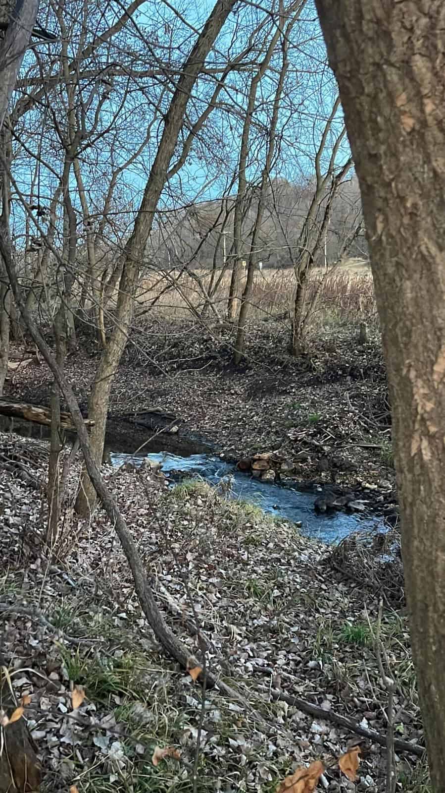 Monroe County Hunting Property 44+/- Acres