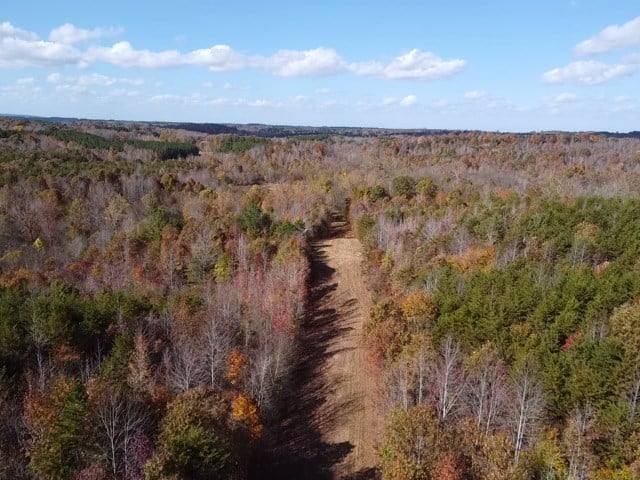 100+ Acres of Prime Hunting Land with Scenic Creek Views