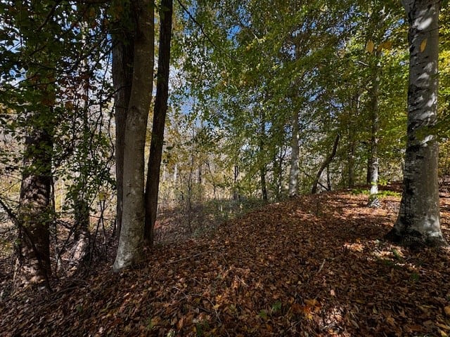 100+ Acres of Prime Hunting Land with Scenic Creek Views