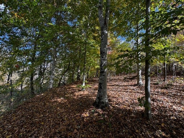 100+ Acres of Prime Hunting Land with Scenic Creek Views