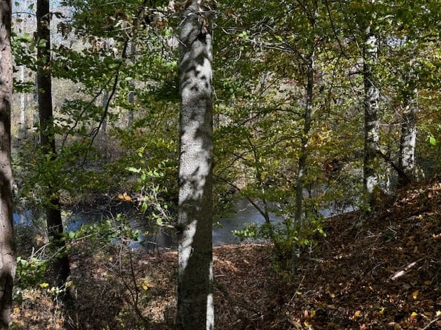 100+ Acres of Prime Hunting Land with Scenic Creek Views