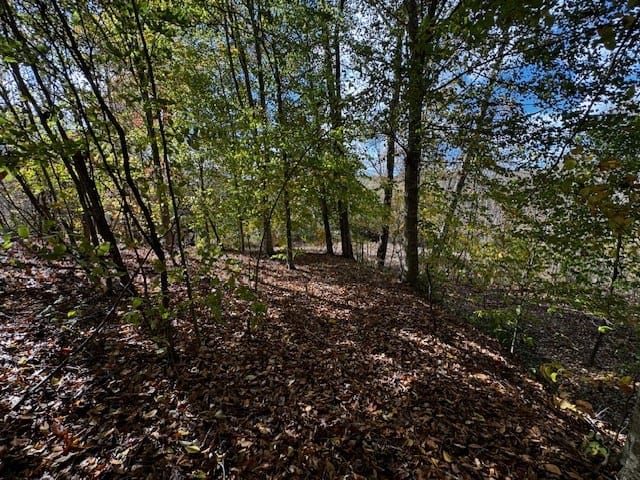 100+ Acres of Prime Hunting Land with Scenic Creek Views