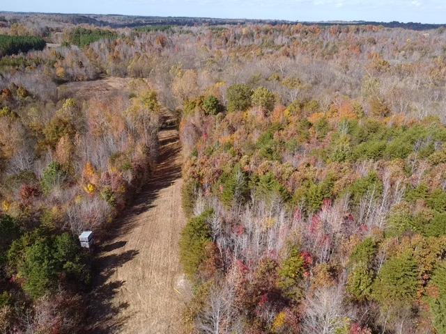 100+ Acres of Prime Hunting Land with Scenic Creek Views