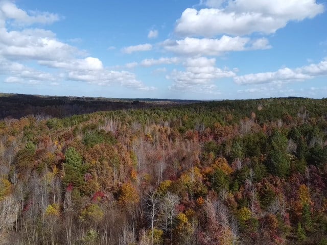 100+ Acres of Prime Hunting Land with Scenic Creek Views