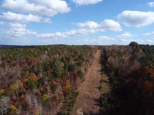 100+ Acres of Prime Hunting Land with Scenic Creek Views