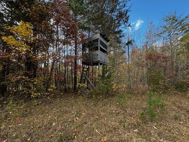 100+ Acres of Prime Hunting Land with Scenic Creek Views