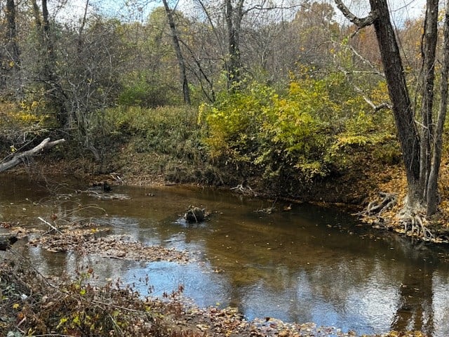 100+ Acres of Prime Hunting Land with Scenic Creek Views