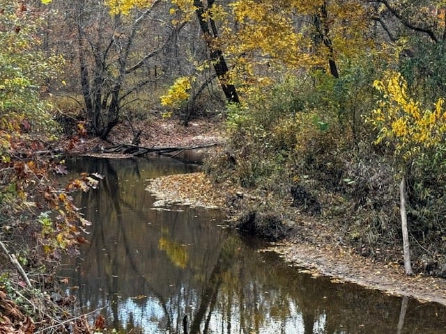 100+ Acres of Prime Hunting Land with Scenic Creek Views