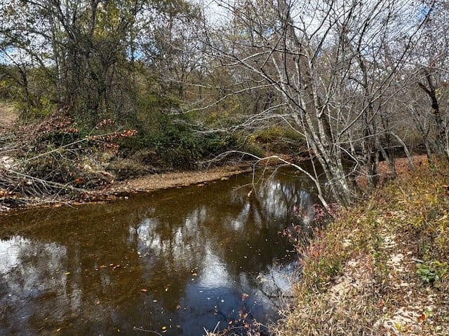 100+ Acres of Prime Hunting Land with Scenic Creek Views