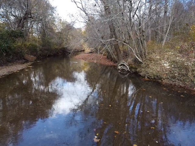 100+ Acres of Prime Hunting Land with Scenic Creek Views