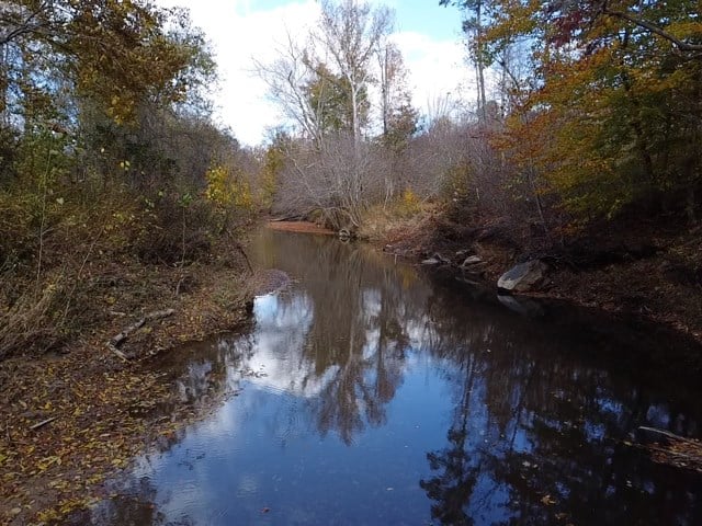 100+ Acres of Prime Hunting Land with Scenic Creek Views