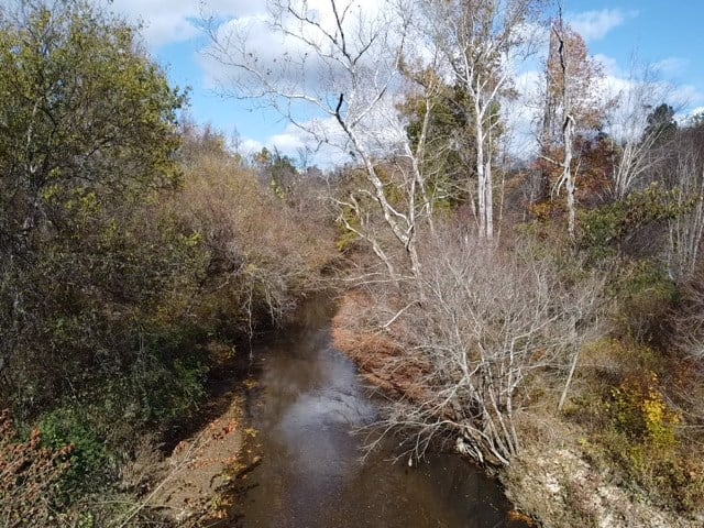 100+ Acres of Prime Hunting Land with Scenic Creek Views
