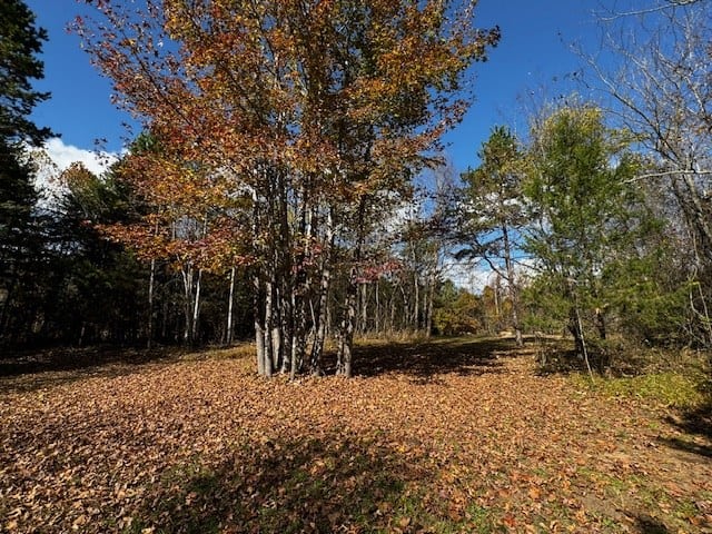 100+ Acres of Prime Hunting Land with Scenic Creek Views