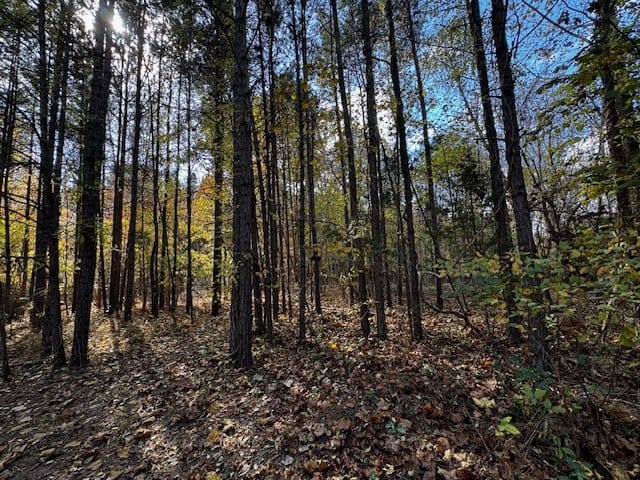 100+ Acres of Prime Hunting Land with Scenic Creek Views