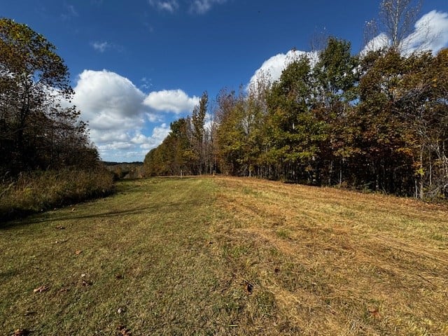 100+ Acres of Prime Hunting Land with Scenic Creek Views