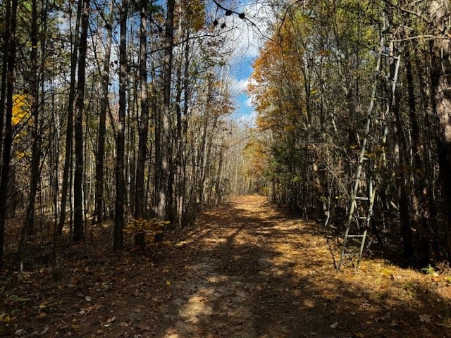 100+ Acres of Prime Hunting Land with Scenic Creek Views