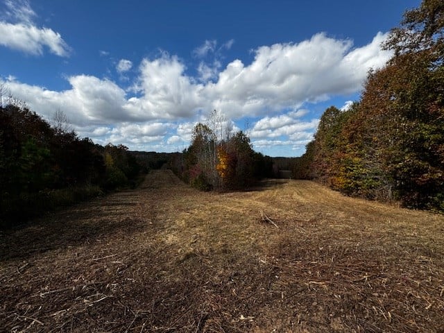 100+ Acres of Prime Hunting Land with Scenic Creek Views