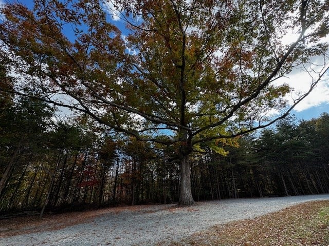 100+ Acres of Prime Hunting Land with Scenic Creek Views