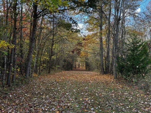 100+ Acres of Prime Hunting Land with Scenic Creek Views