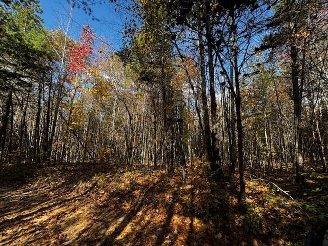 100+ Acres of Prime Hunting Land with Scenic Creek Views