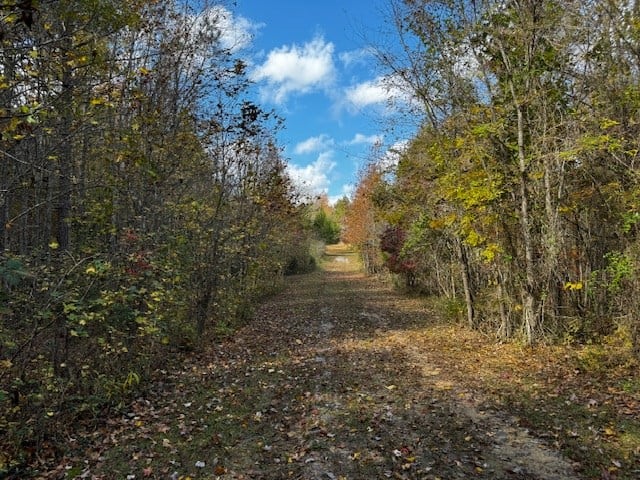 100+ Acres of Prime Hunting Land with Scenic Creek Views