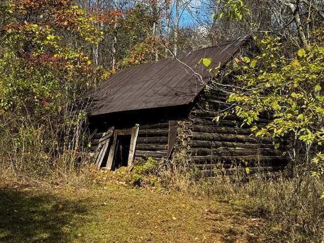 100+ Acres of Prime Hunting Land with Scenic Creek Views