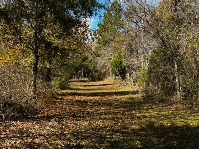 100+ Acres of Prime Hunting Land with Scenic Creek Views