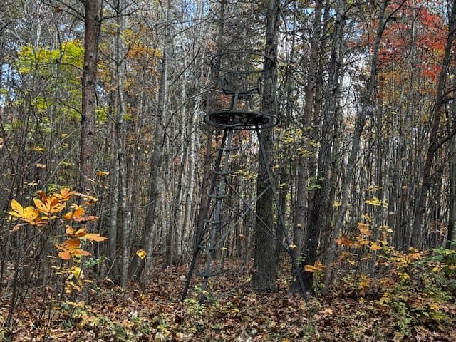 100+ Acres of Prime Hunting Land with Scenic Creek Views
