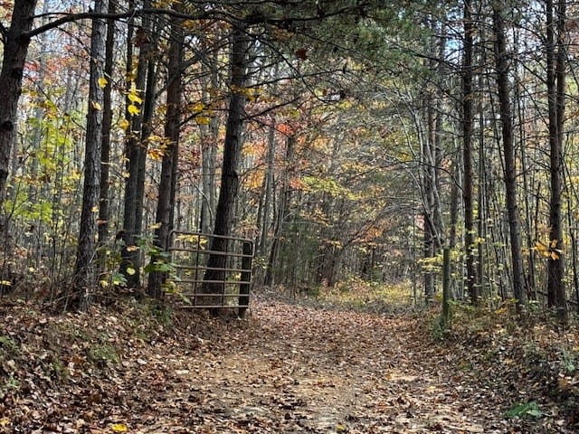 100+ Acres of Prime Hunting Land with Scenic Creek Views