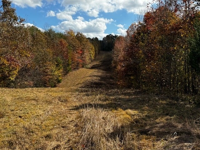 100+ Acres of Prime Hunting Land with Scenic Creek Views