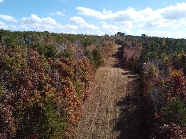 100+ Acres of Prime Hunting Land with Scenic Creek Views