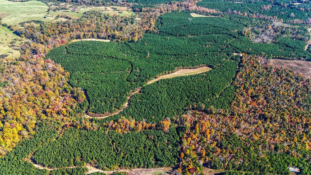 Central Virginia’s Premier Hunting Estate: 486 Acres