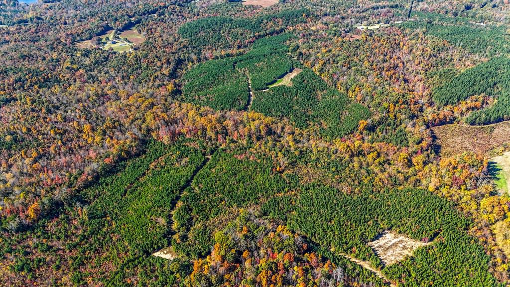 Central Virginia’s Premier Hunting Estate: 486 Acres