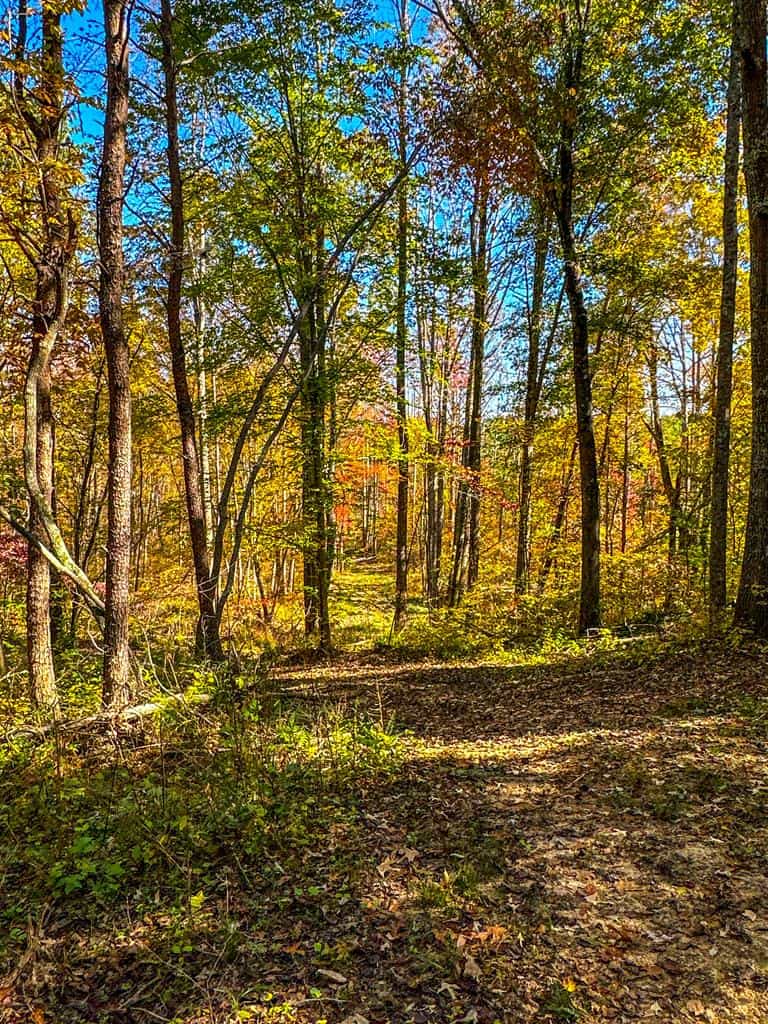 Central Virginia’s Premier Hunting Estate: 486 Acres