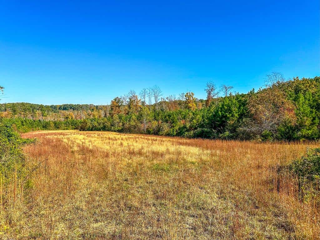 Central Virginia’s Premier Hunting Estate: 486 Acres