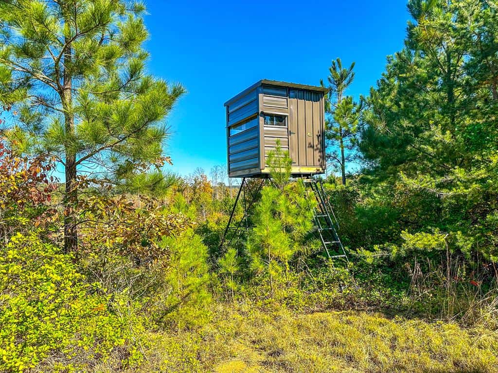 Central Virginia’s Premier Hunting Estate: 486 Acres