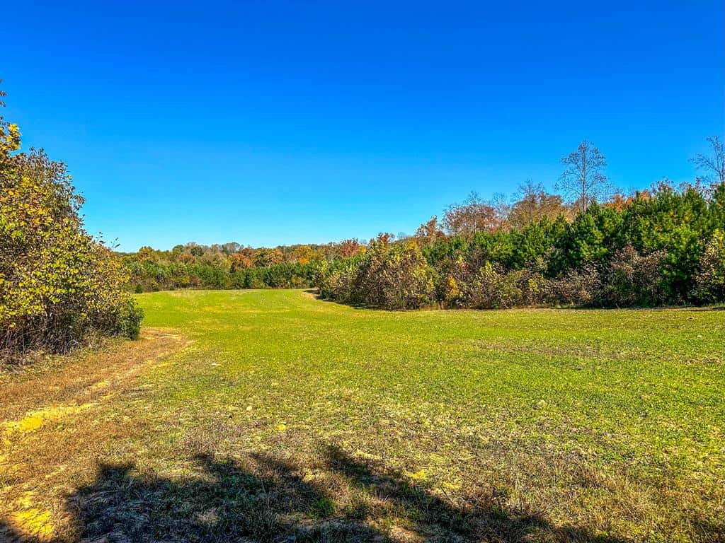 Central Virginia’s Premier Hunting Estate: 486 Acres