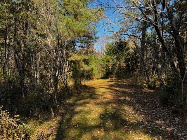 Premier Hunting Retreat on 80+ Acres in Halifax County, VA