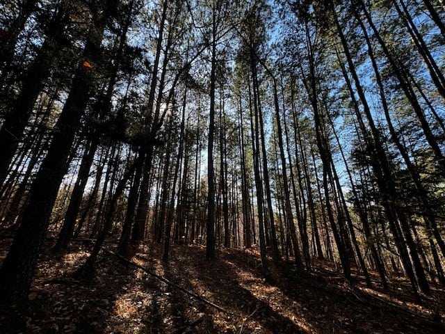 Premier Hunting Retreat on 80+ Acres in Halifax County, VA