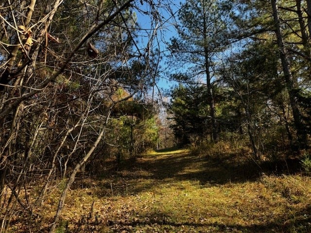 Premier Hunting Retreat on 80+ Acres in Halifax County, VA