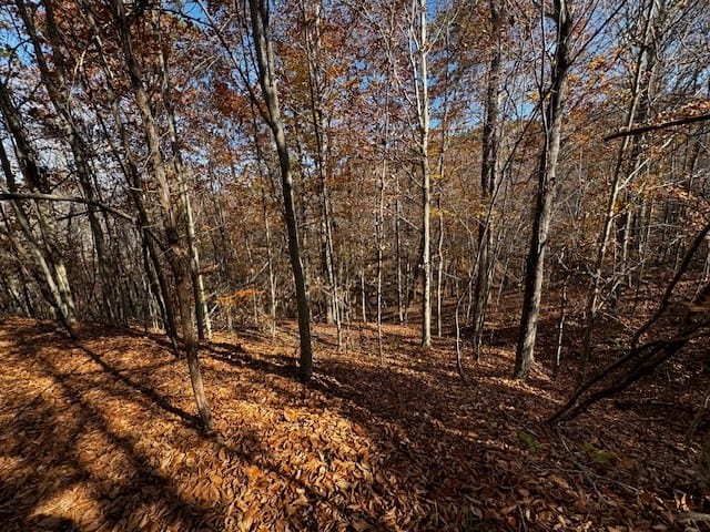 Premier Hunting Retreat on 80+ Acres in Halifax County, VA
