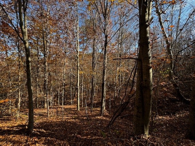 Premier Hunting Retreat on 80+ Acres in Halifax County, VA