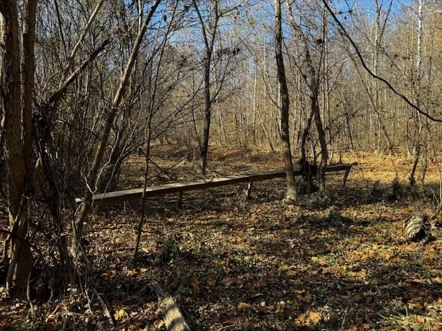 Premier Hunting Retreat on 80+ Acres in Halifax County, VA