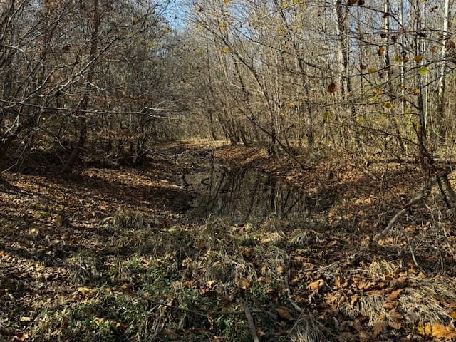 Premier Hunting Retreat on 80+ Acres in Halifax County, VA