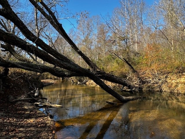 Premier Hunting Retreat on 80+ Acres in Halifax County, VA