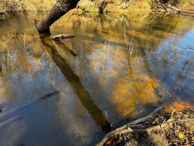 Premier Hunting Retreat on 80+ Acres in Halifax County, VA
